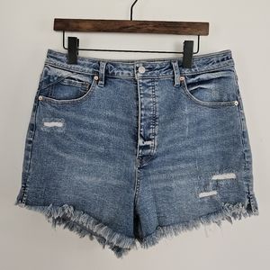 Free People CRVY Shorts